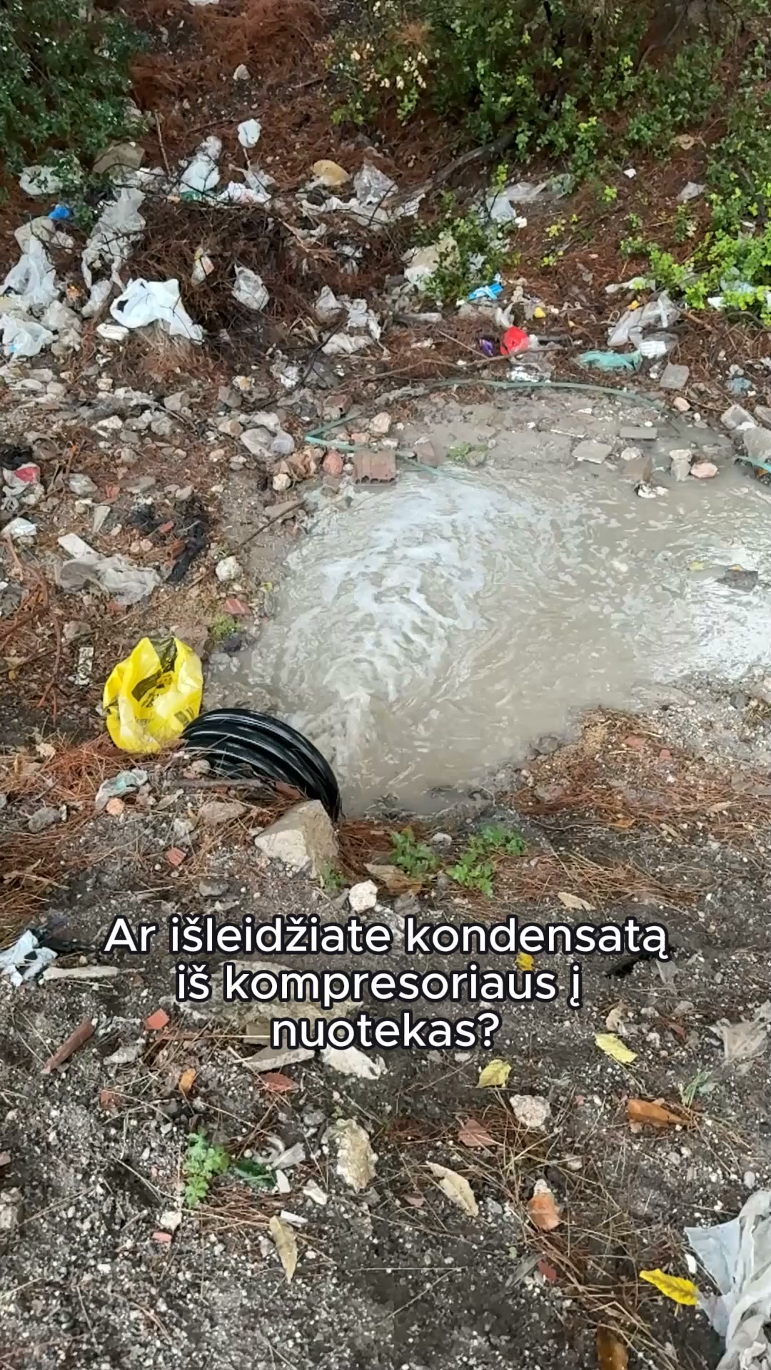Įrašo nuotrauka